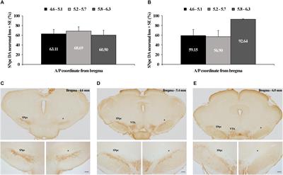 Alterations of Sleep and Sleep Oscillations in the Hemiparkinsonian Rat